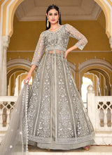 Load image into Gallery viewer, Grey Embroidered Lehenga/Pant Style Designer Anarkali