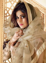 Load image into Gallery viewer, Beige Heavy Embroidered Gown Style Anarkali fashionandstylish.myshopify.com