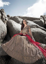 Load image into Gallery viewer, Grey Heavy Embroidered Kalidar Lehenga Style Anarkali Suit fashionandstylish.myshopify.com