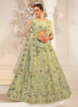 Load image into Gallery viewer, Ligh Green Heavy Net Embroidered Kalidar Lehenga Choli fashionandstylish.myshopify.com