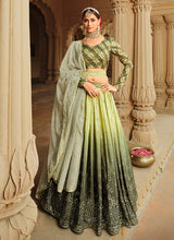 Load image into Gallery viewer, Light Green Shaded Embroidered Stylish Lehenga Choli