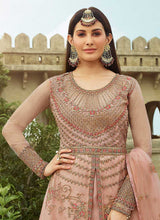 Load image into Gallery viewer, Light Pink Heavy Embroidered Lehenga Style Anarkali fashionandstylish.myshopify.com