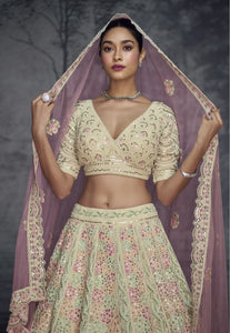 Beige Colour Luxurious Pure Net Handcrafted Lehenga