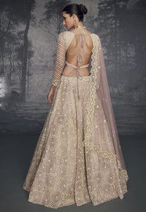 Cream Colour Luxurious Pure Net Handcrafted Lehenga