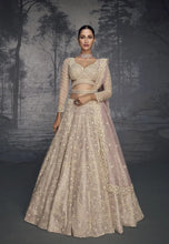 Load image into Gallery viewer, Cream Colour Luxurious Pure Net Handcrafted Lehenga
