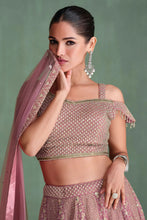 Load image into Gallery viewer, Embroidered Elegance Pink Lehenga Choli
