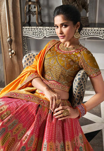 Festive Flair Multi-Hued Embroidered Lehenga Choli