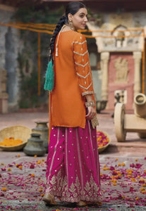 Refined Radiance Embroidered Orange Palazzo Set