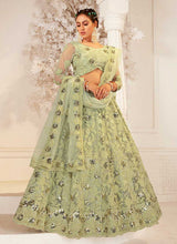 Load image into Gallery viewer, Ligh Green Heavy Net Embroidered Kalidar Lehenga Choli fashionandstylish.myshopify.com
