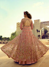 Load image into Gallery viewer, Light Pink Heavy Embroidered Lehenga/Pant Style Anarkali fashionandstylish.myshopify.com
